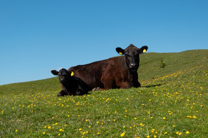 F11F8E1C-E8E5-4DDA-B908-15C8CAB86D9B