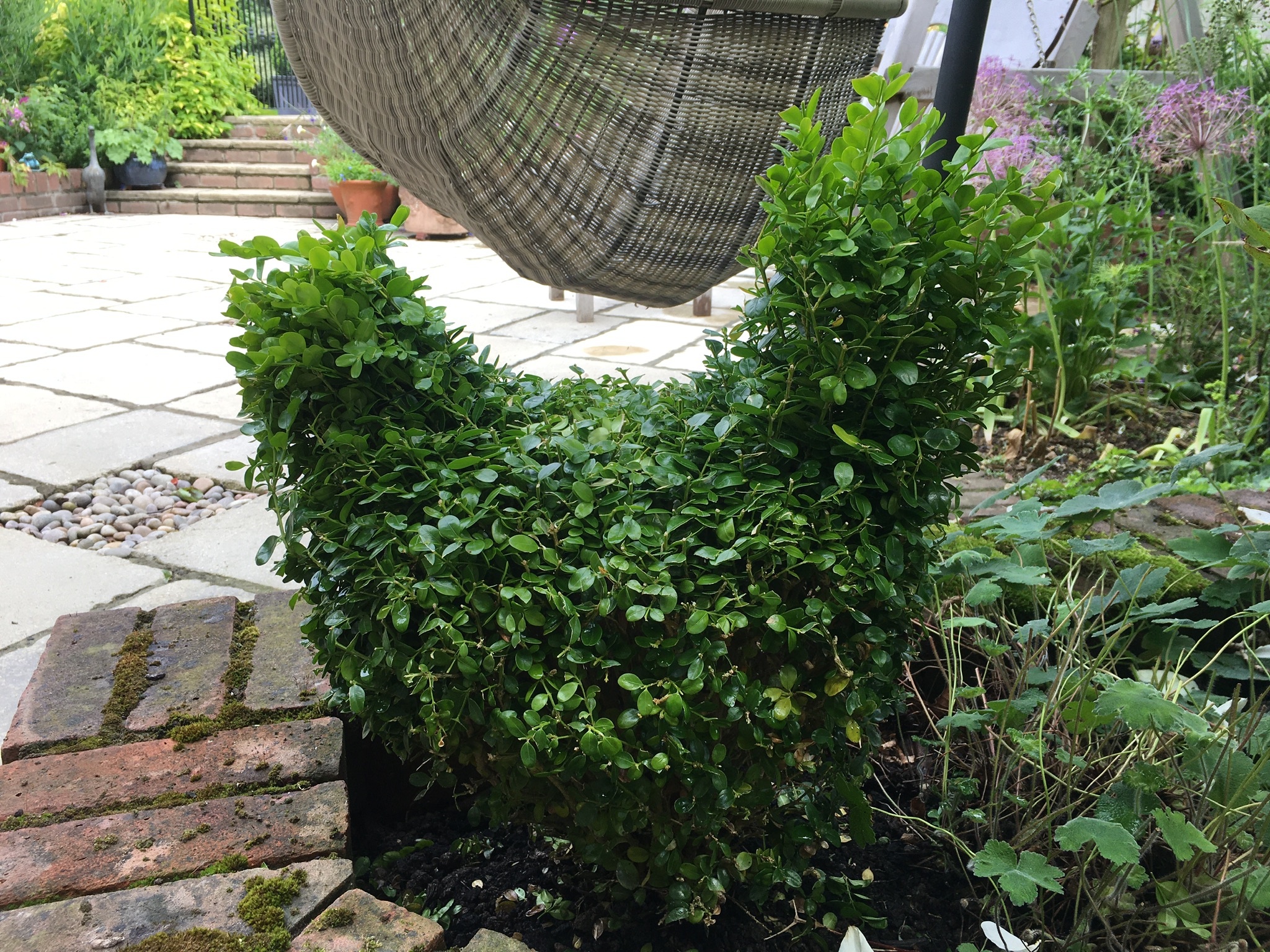 2BB2F2F6-F851-4BE2-9971-22283E3D22E5