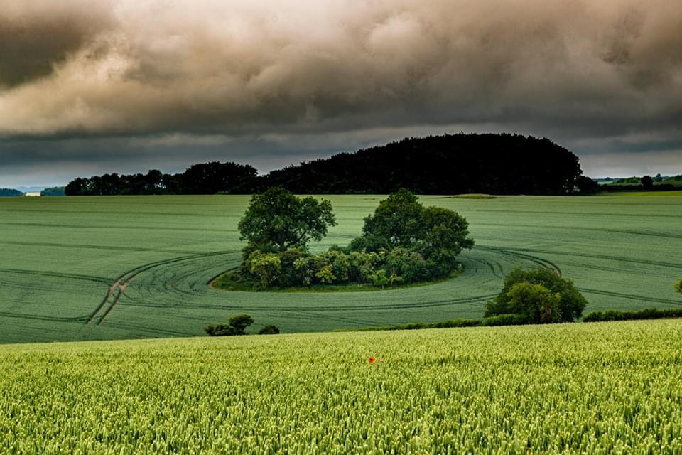 5D31FCD0-37A7-466F-819C-BCAC67C0FF89