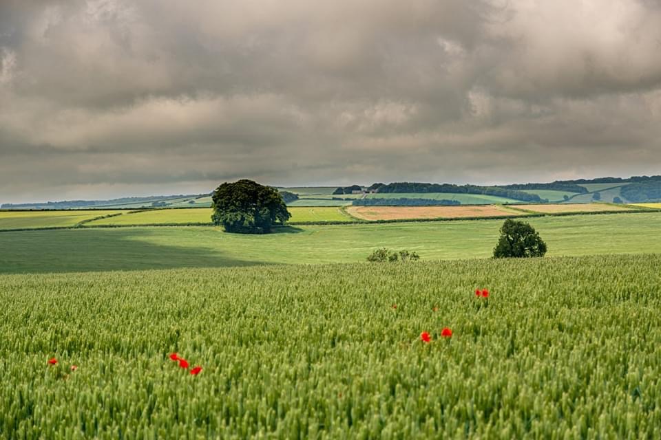 8184BF3C-A82C-4B16-B4EA-26D0AE8C4EE9