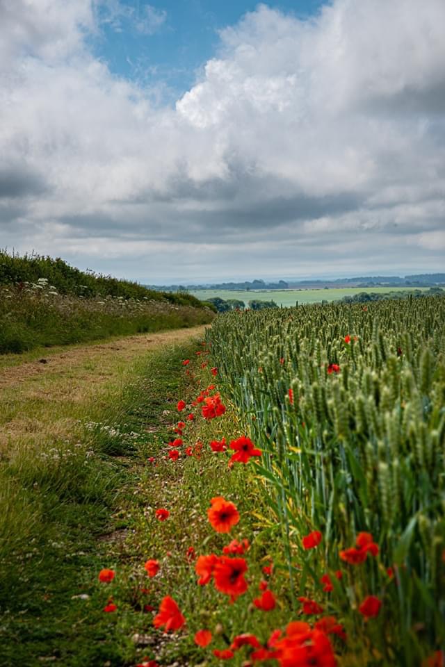 8B784FE1-4663-41F7-B31A-AE2744199A7E