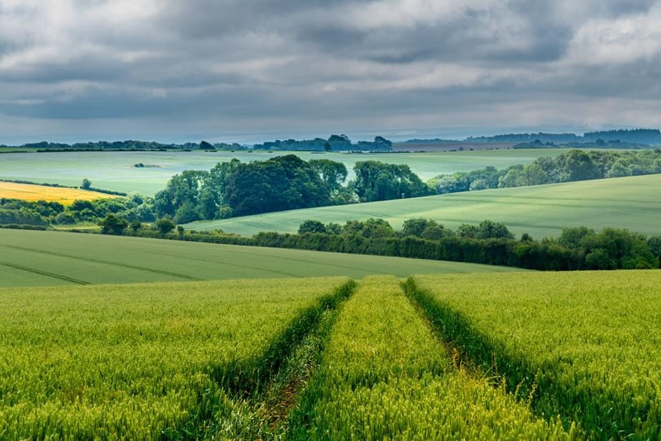 97DFB75C-1F01-4543-A665-4F2438297A1A