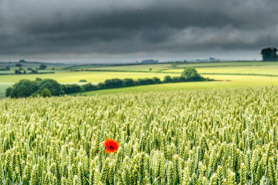 ABF7A7F8-D87D-480D-8A48-4549CC3A99AB