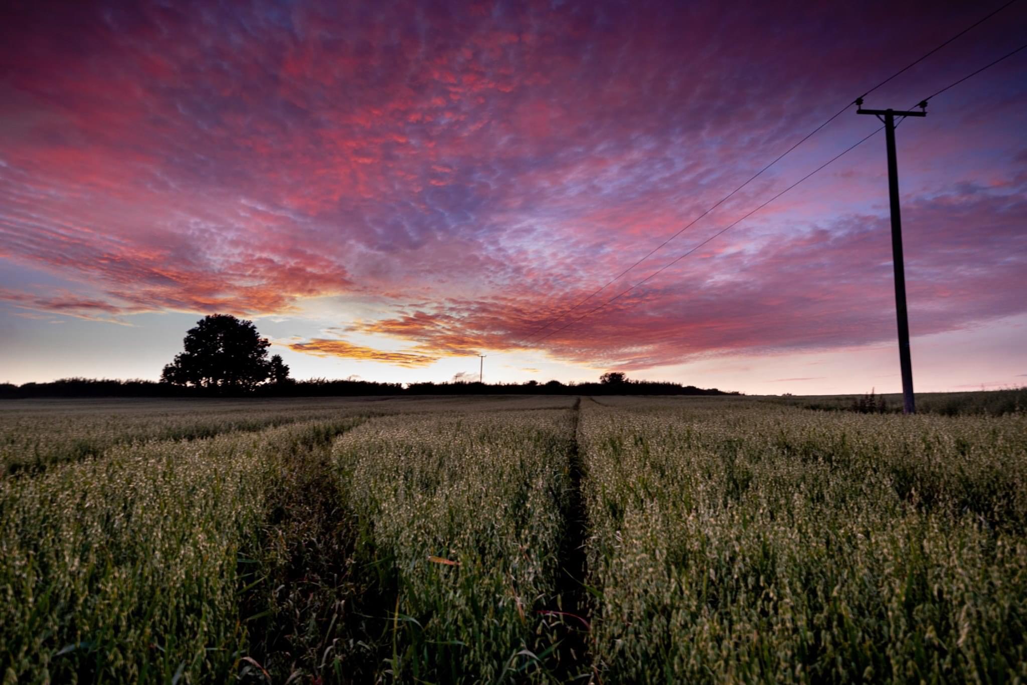 B862ABD3-615C-4131-948F-6CCB528E91C7