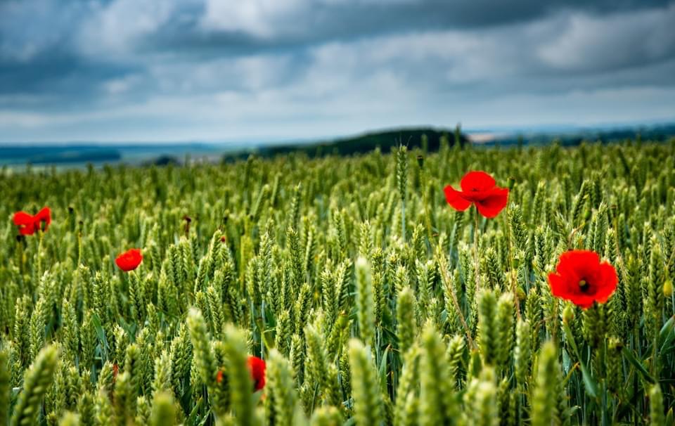 BC40F938-E62C-45AF-A60F-CE3B32232DA8