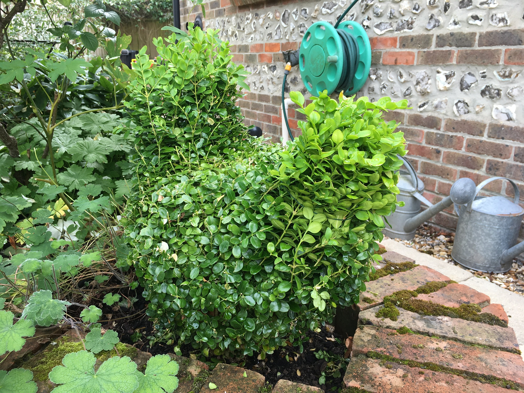 D35A76A9-19E8-4743-AA41-CA07A55E2A5C